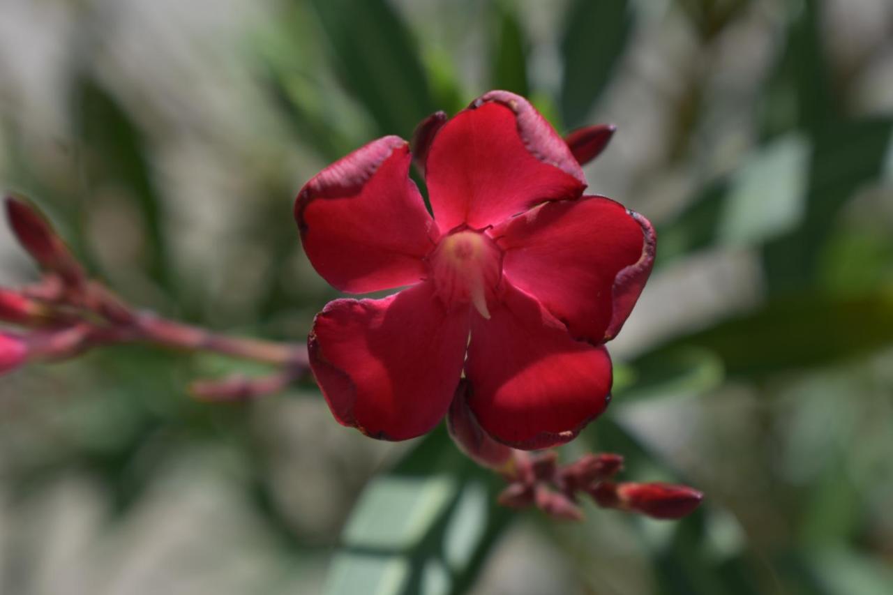 Palmengarten Finning Экстерьер фото